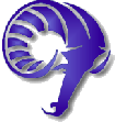 Rams